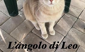 L'angolo di Leo