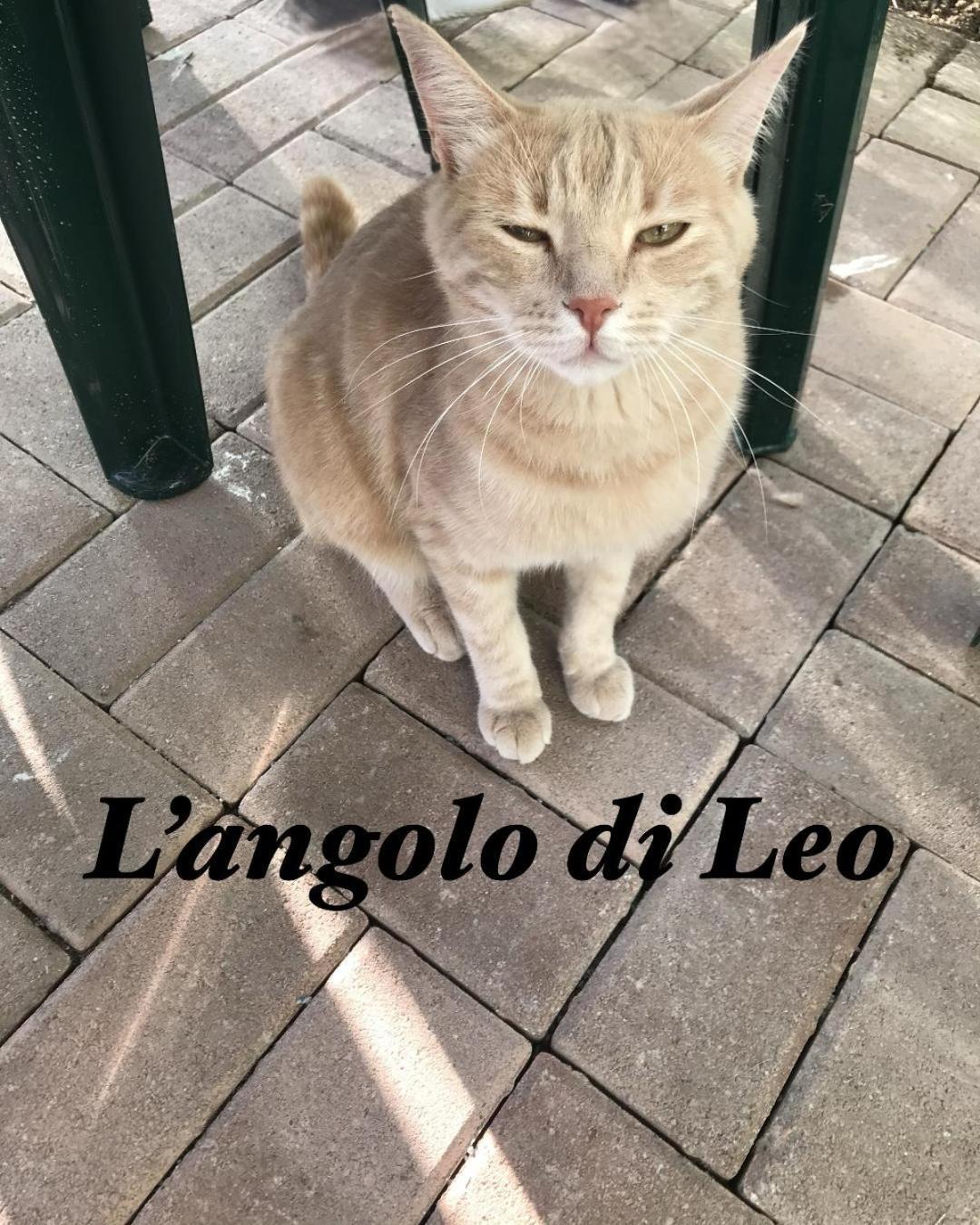 L'angolo di Leo Borgofranco d'Ivrea Esterno foto